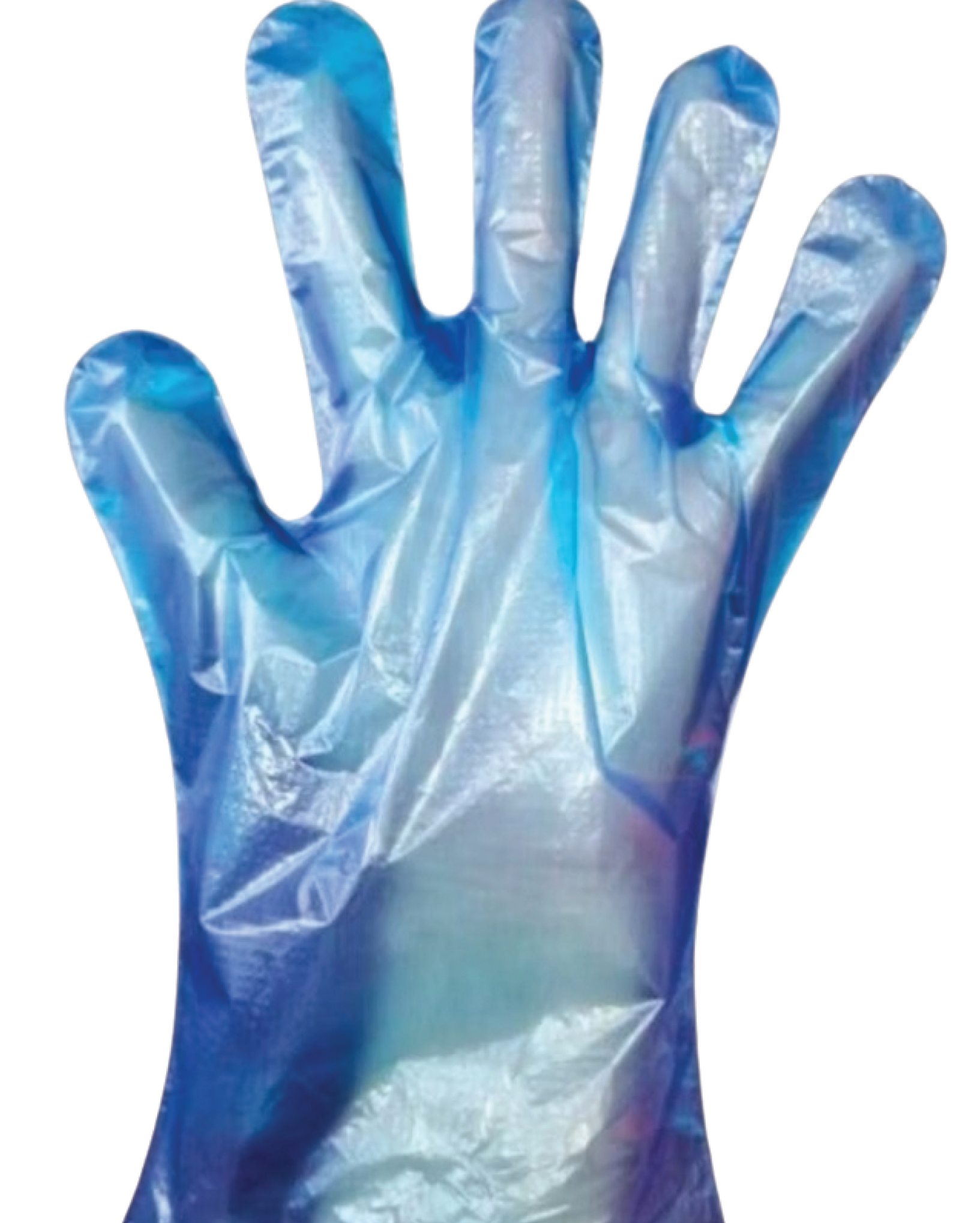 Disposable Plastic Gloves